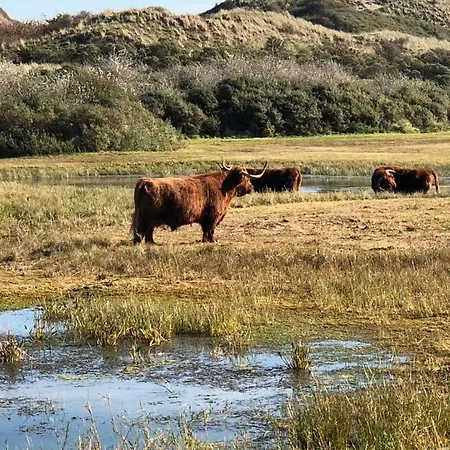 De Jacobsschelp With Parking