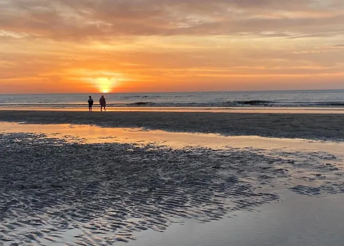 De Jacobsschelp With Parking *